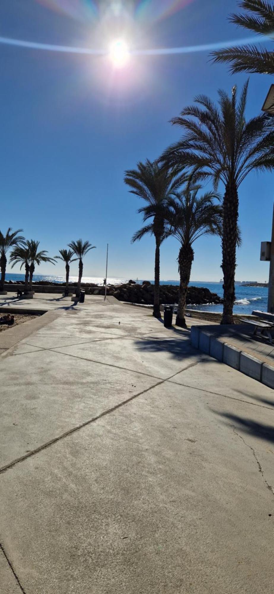 Apartments On The Beach In Torrevieja Exterior photo